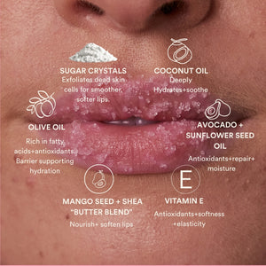 The Lip Routine Bundle