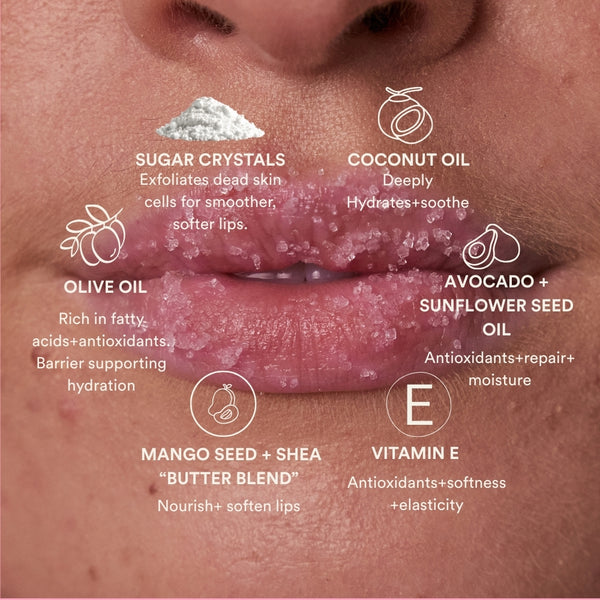 The Lip Routine Bundle